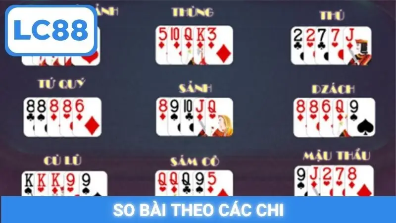 So bài theo các chi