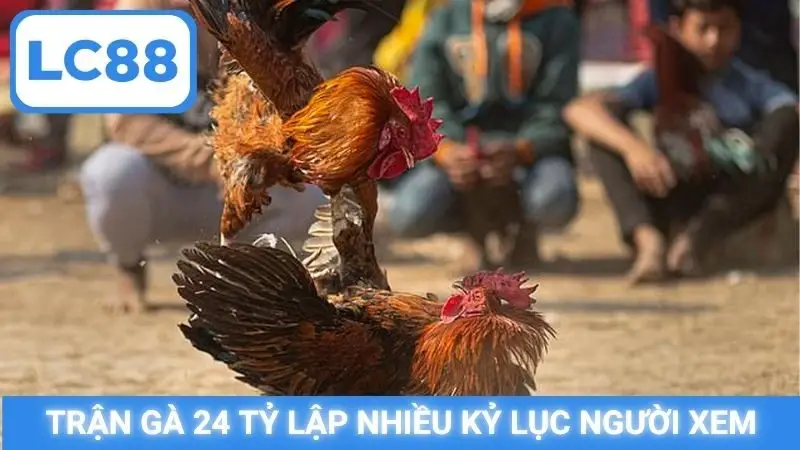 Trận gà 24 tỷ lập nhiều kỷ lục người xem